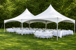 20' x 40' High Peak Tent
